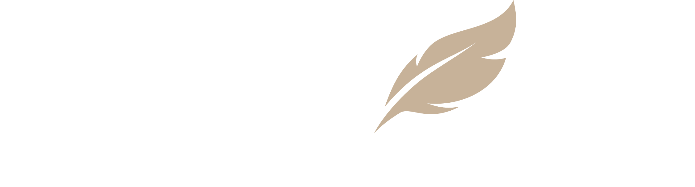 apex-logo-2026